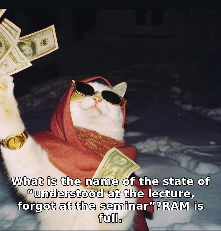 What is the name of the state of “understood at the lecture, forgot at the seminar”?RAM is full.