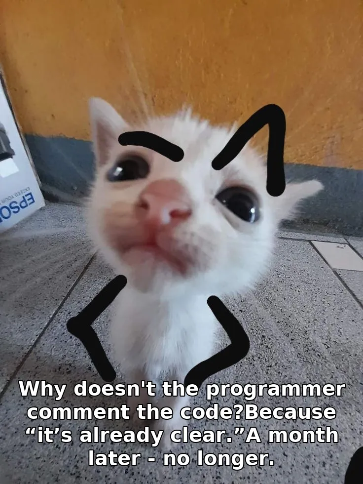 Why doesn't the programmer comment the code?Because “it’s already clear.”A month later - no longer.
