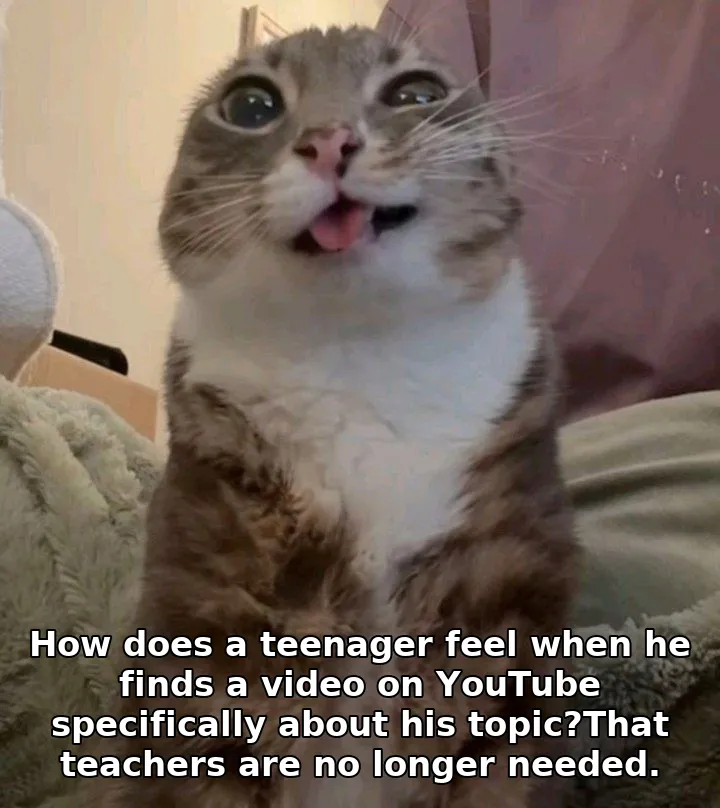 How does a teenager feel when he finds a video on YouTube specifically about his topic?That teachers are no longer needed.