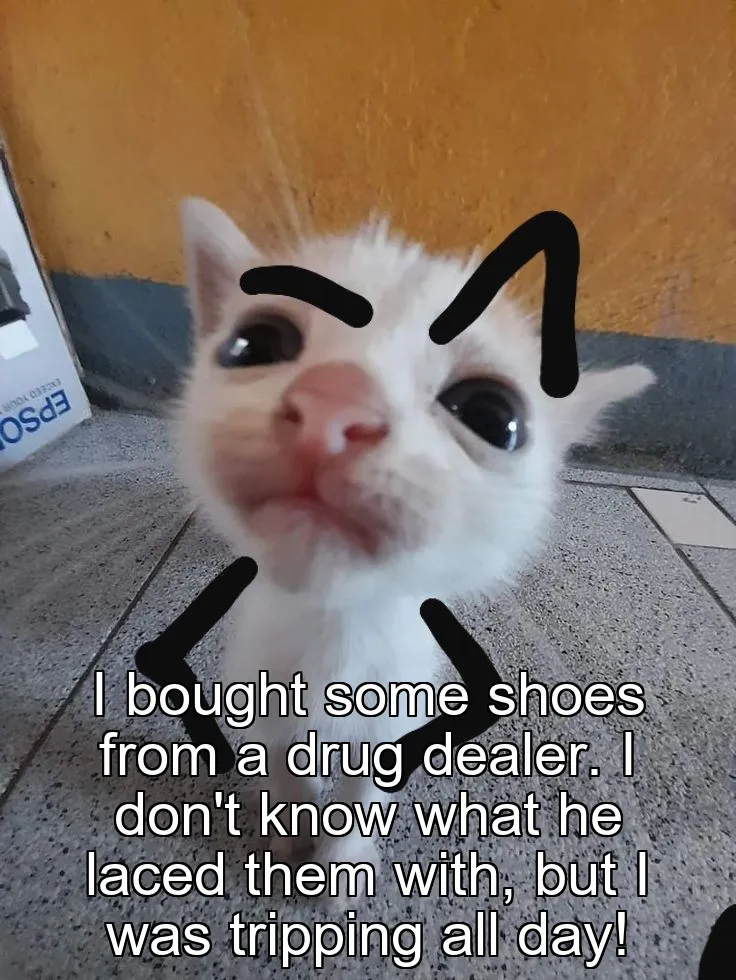 I bought some shoes from a drug dealer. I don't know what he laced them with, but I was tripping all day!