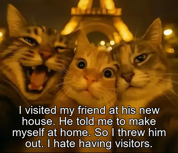 I visited my friend at his new house. He told me to make myself at home. So I threw him out. I hate having visitors.