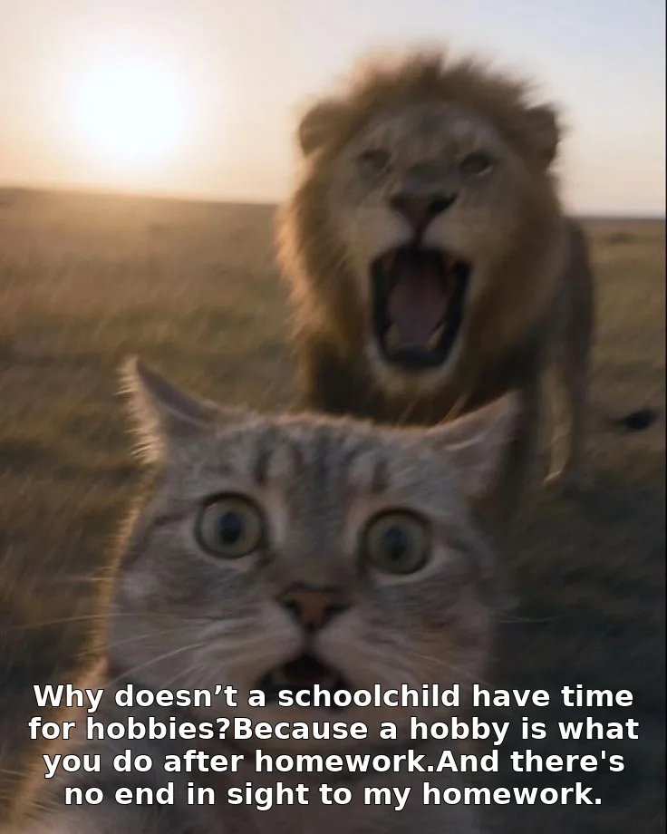 Why doesn’t a schoolchild have time for hobbies?Because a hobby is what you do after homework.And there's no end in sight to my homework.