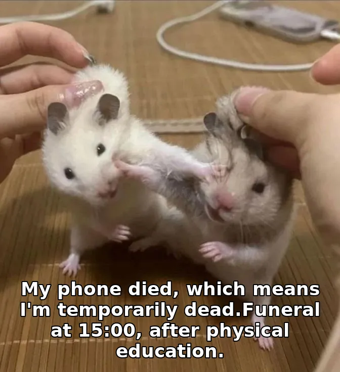 My phone died, which means I'm temporarily dead.Funeral at 15:00, after physical education.