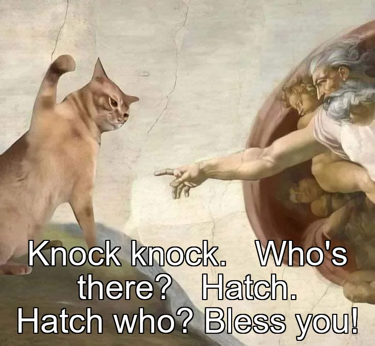 Knock knock. 
 Who's there? 
 Hatch. 
 Hatch who? Bless you!