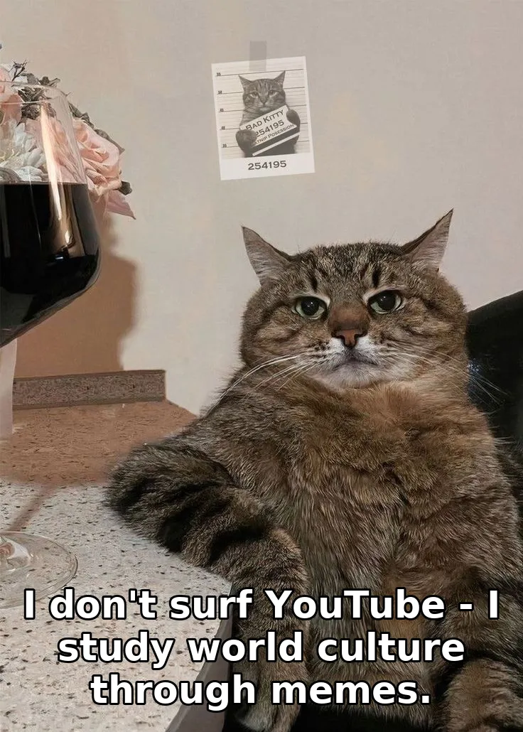 I don't surf YouTube - I study world culture through memes.