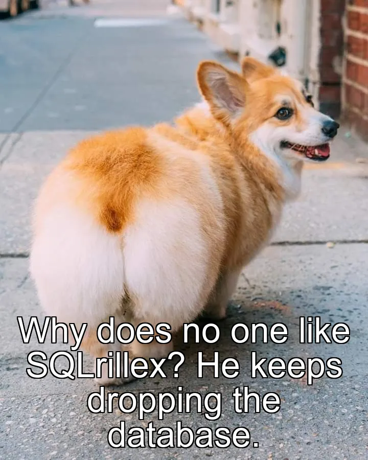 Why does no one like SQLrillex? He keeps dropping the database.