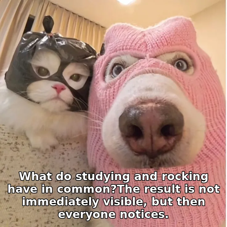 What do studying and rocking have in common?The result is not immediately visible, but then everyone notices.