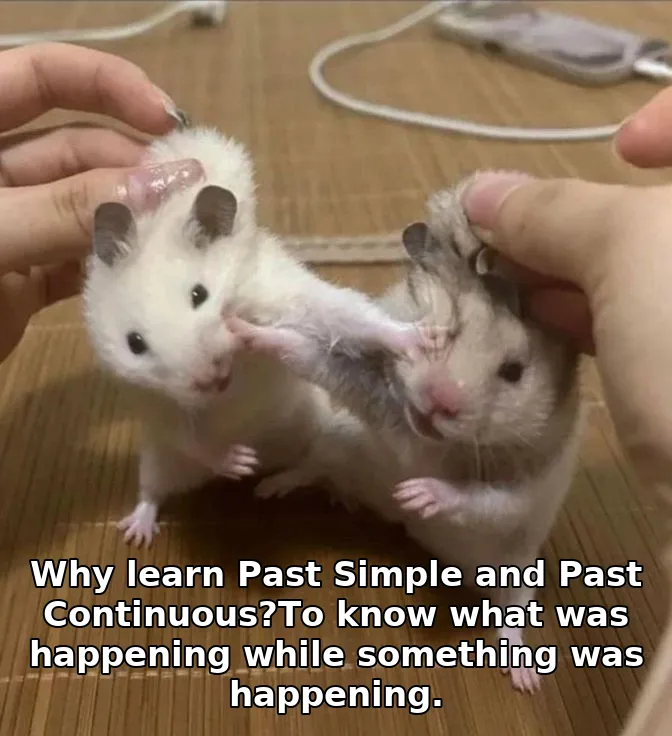 Why learn Past Simple and Past Continuous?To know what was happening while something was happening.