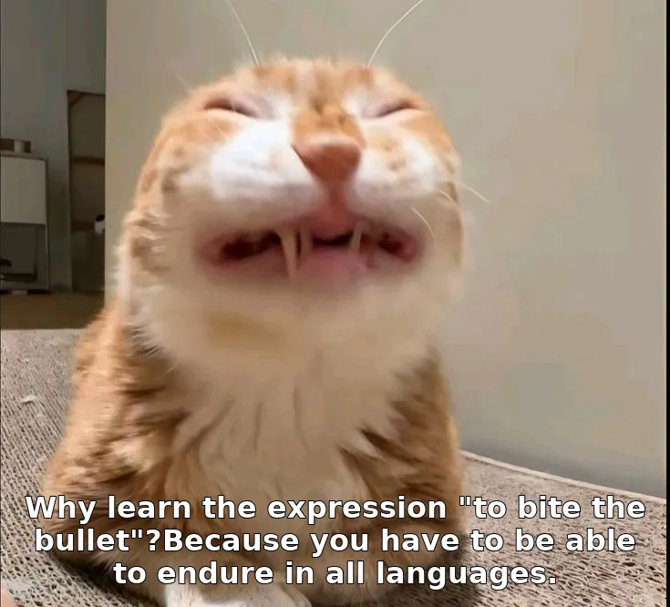 Why learn the expression "to bite the bullet"?Because you have to be able to endure in all languages.