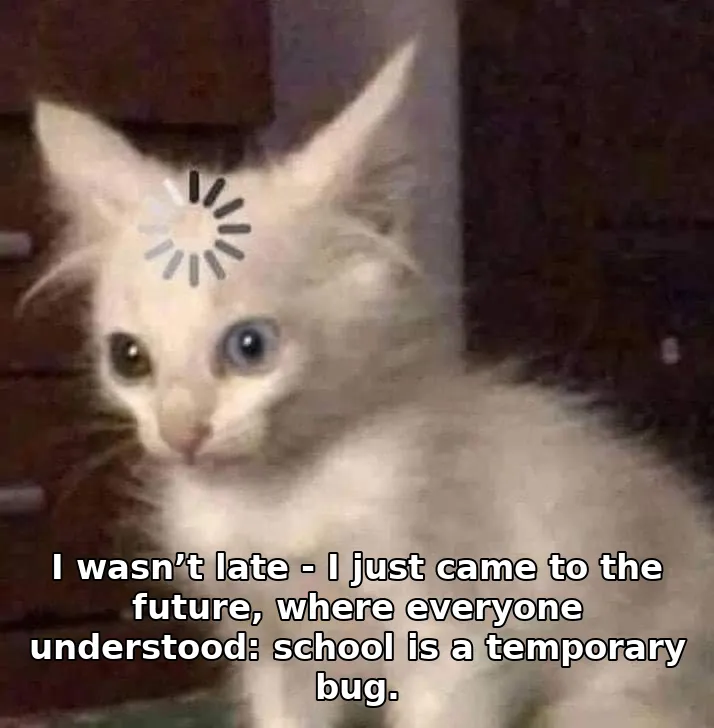 I wasn’t late - I just came to the future, where everyone understood: school is a temporary bug.