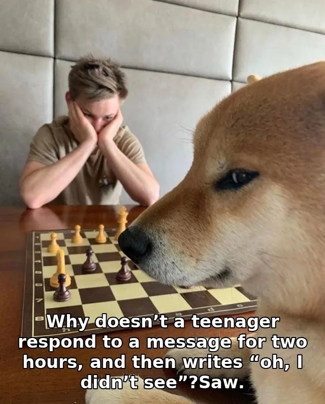 Why doesn’t a teenager respond to a message for two hours, and then writes “oh, I didn’t see”?Saw.