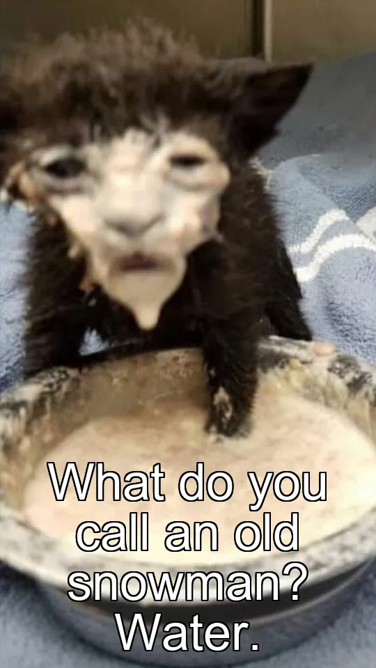 What do you call an old snowman? Water.