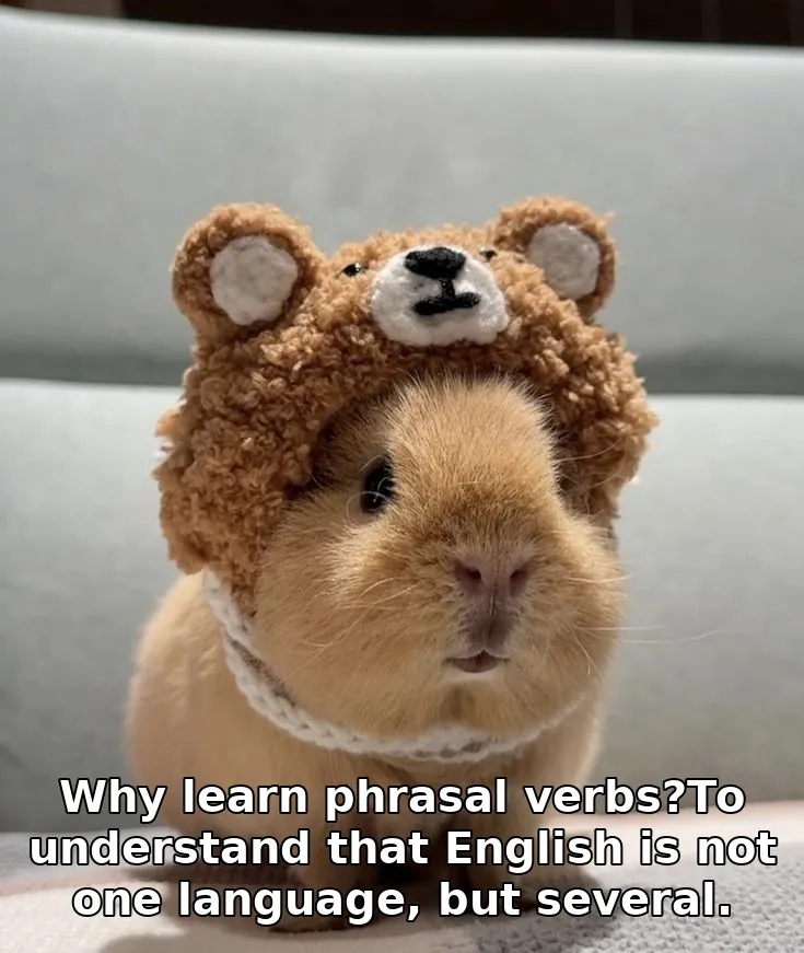 Why learn phrasal verbs?To understand that English is not one language, but several.