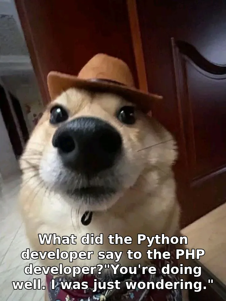 What did the Python developer say to the PHP developer?"You're doing well. I was just wondering."