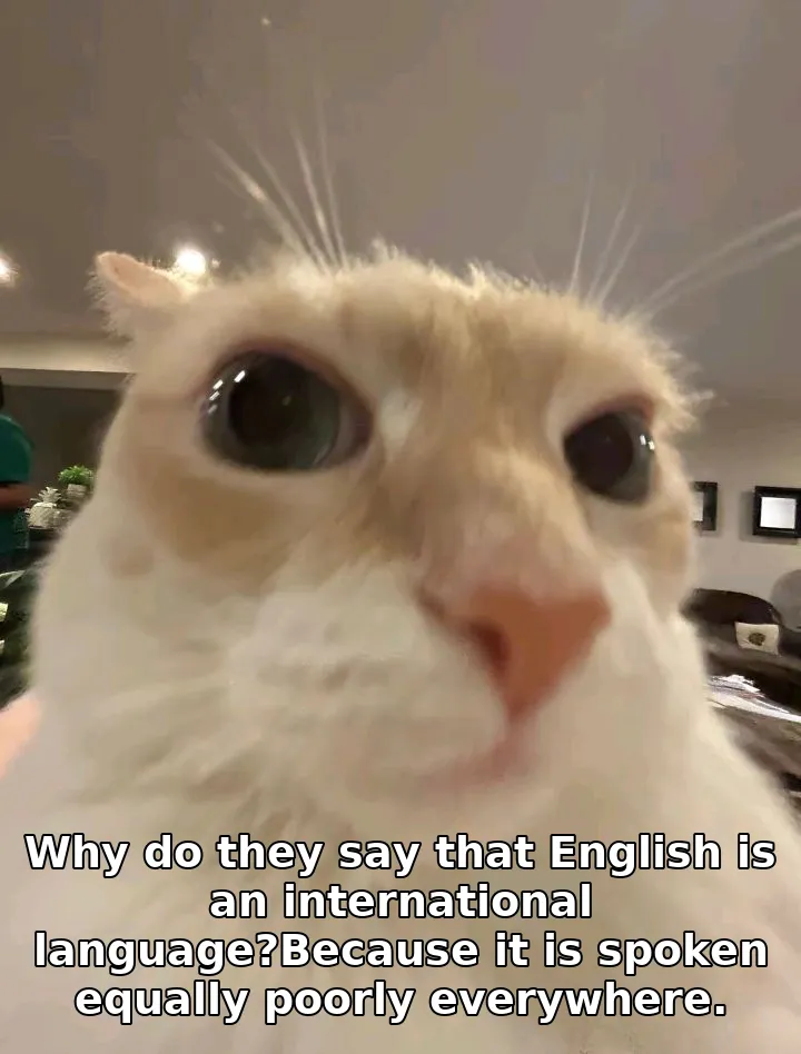 Why do they say that English is an international language?Because it is spoken equally poorly everywhere.