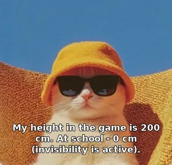 My height in the game is 200 cm. At school - 0 cm (invisibility is active).
