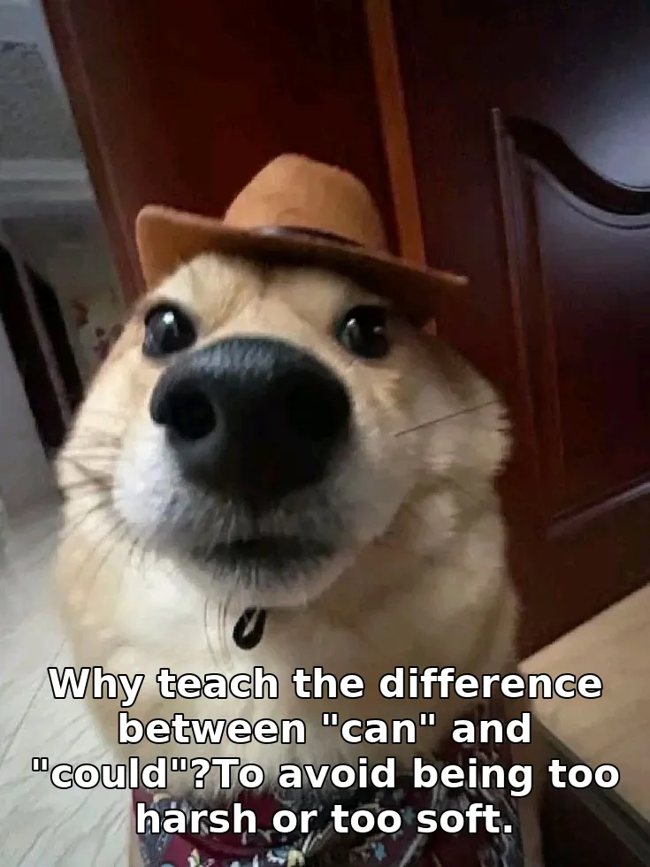 Why teach the difference between "can" and "could"?To avoid being too harsh or too soft.