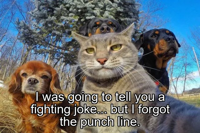 I was going to tell you a fighting joke... but I forgot the punch line.
