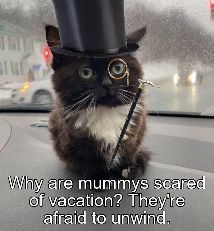 Why are mummys scared of vacation? They're afraid to unwind.