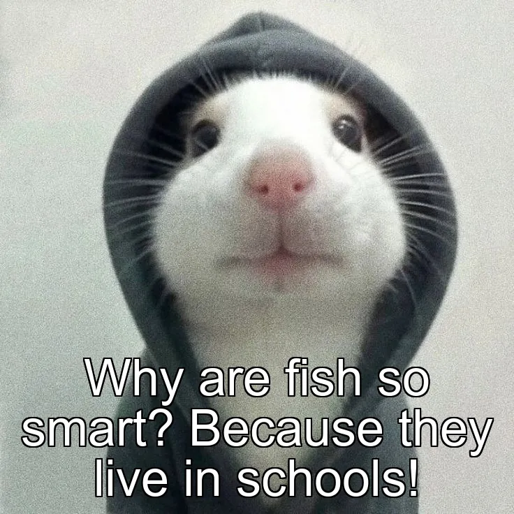 Why are fish so smart? Because they live in schools!