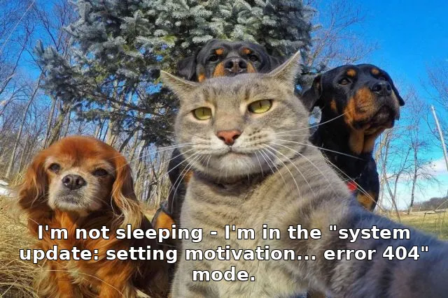 I'm not sleeping - I'm in the "system update: setting motivation... error 404" mode.