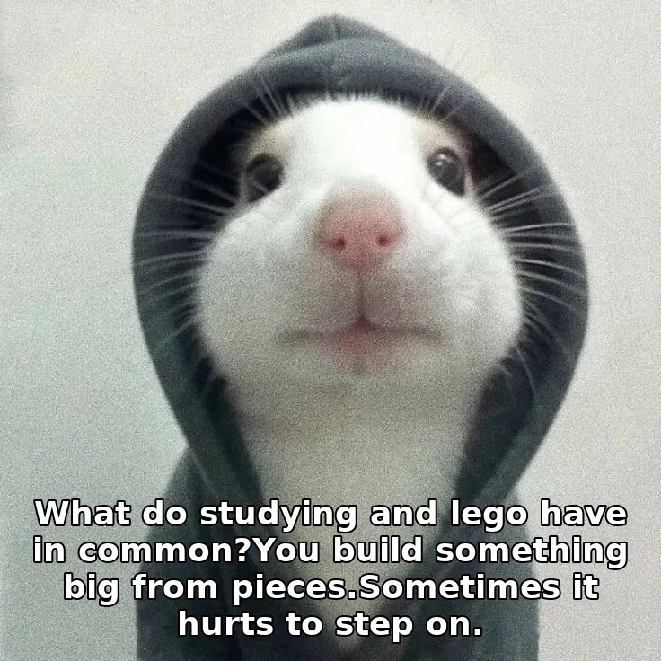 What do studying and lego have in common?You build something big from pieces.Sometimes it hurts to step on.