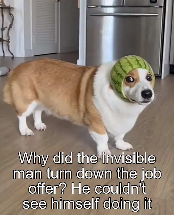 Why did the invisible man turn down the job offer? He couldn't see himself doing it