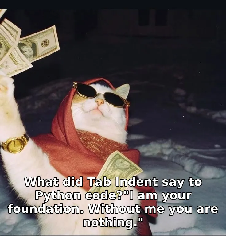 What did Tab Indent say to Python code?"I am your foundation. Without me you are nothing."