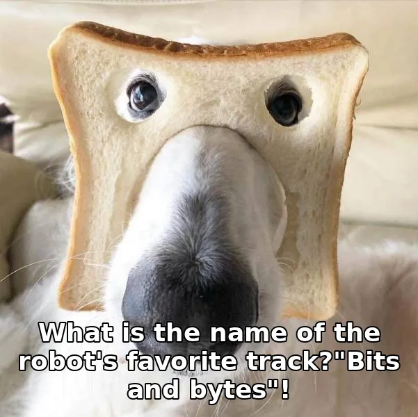 What is the name of the robot's favorite track?"Bits and bytes"!
