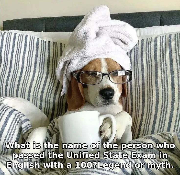 What is the name of the person who passed the Unified State Exam in English with a 100?Legend or myth.