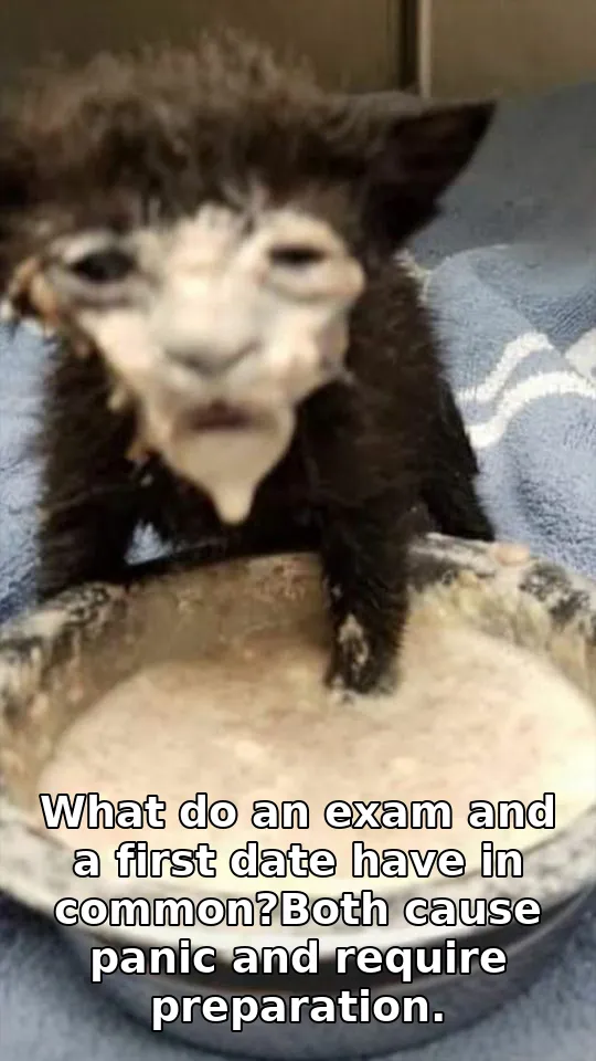 What do an exam and a first date have in common?Both cause panic and require preparation.
