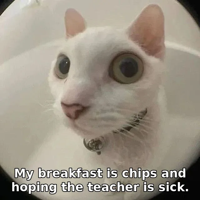 My breakfast is chips and hoping the teacher is sick.