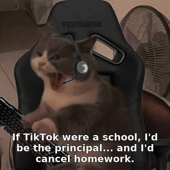 If TikTok were a school, I'd be the principal... and I'd cancel homework.
