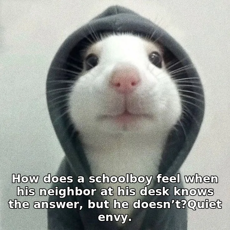 How does a schoolboy feel when his neighbor at his desk knows the answer, but he doesn’t?Quiet envy.