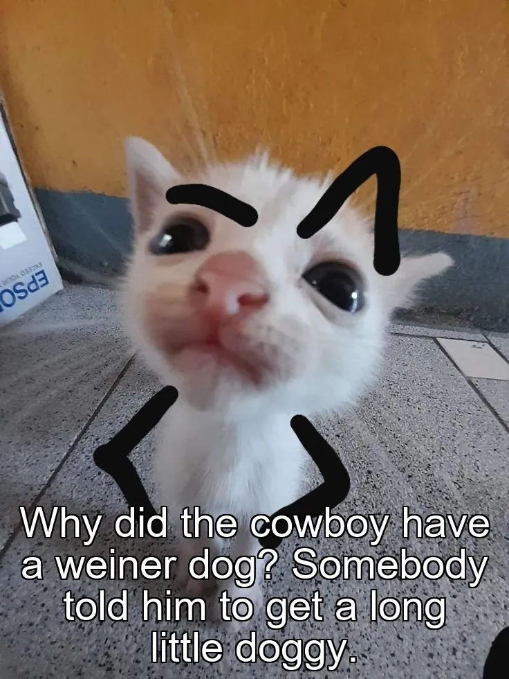 Why did the cowboy have a weiner dog? Somebody told him to get a long little doggy.