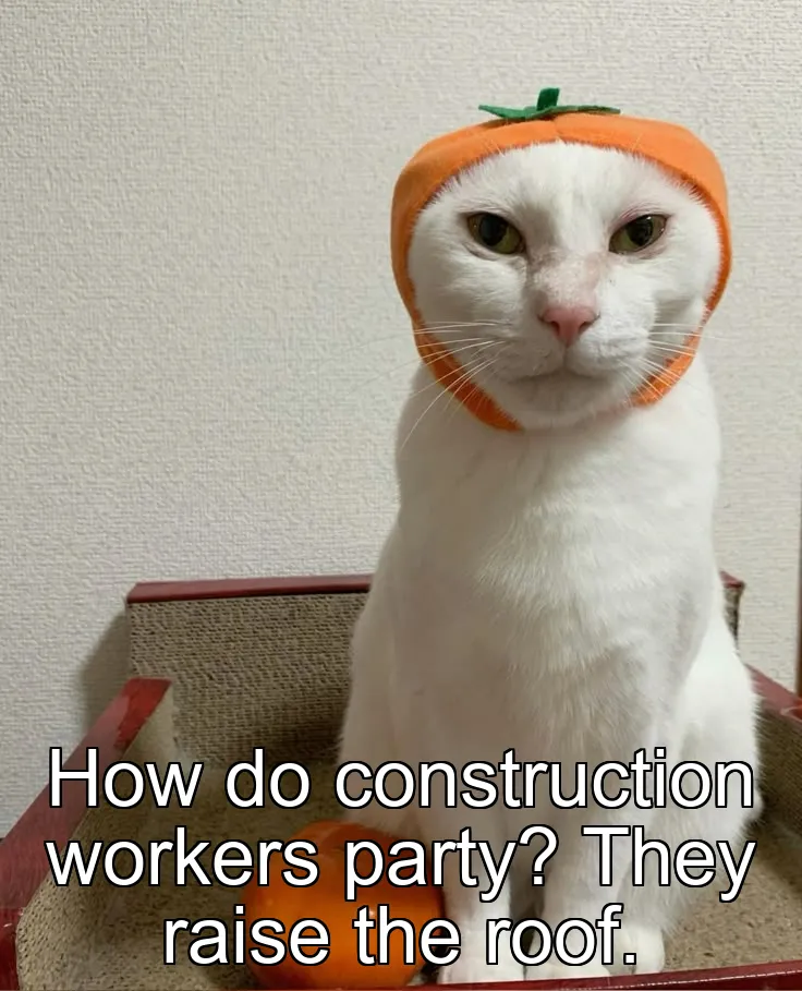 How do construction workers party? They raise the roof.
