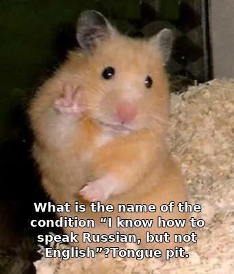 What is the name of the condition “I know how to speak Russian, but not English”?Tongue pit.