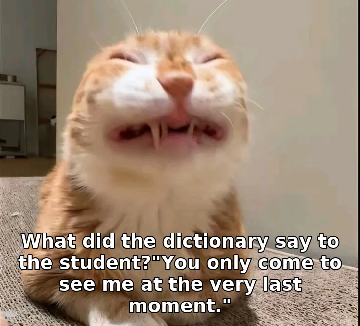 What did the dictionary say to the student?"You only come to see me at the very last moment."