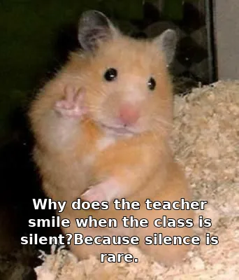 Why does the teacher smile when the class is silent?Because silence is rare.