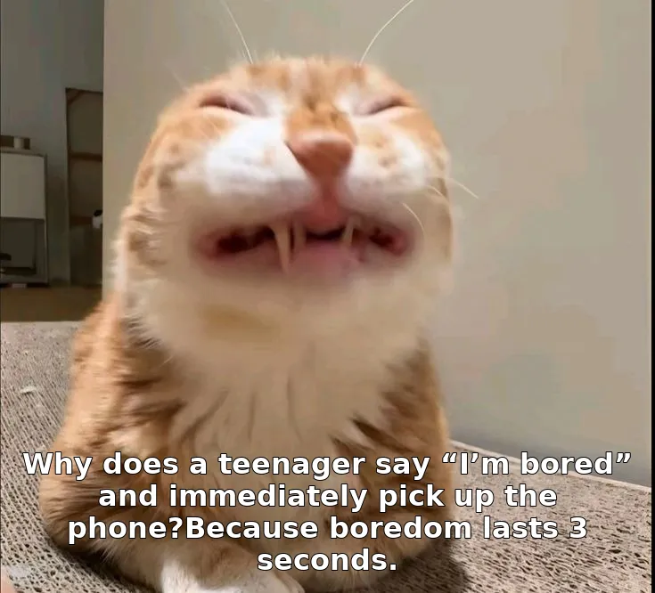 Why does a teenager say “I’m bored” and immediately pick up the phone?Because boredom lasts 3 seconds.