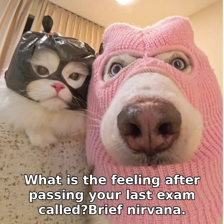 What is the feeling after passing your last exam called?Brief nirvana.