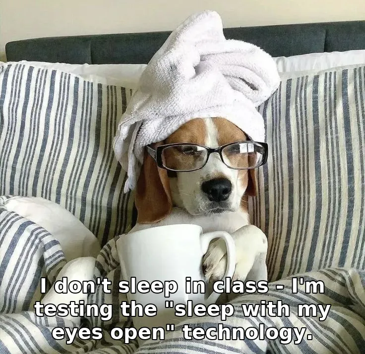 I don't sleep in class - I'm testing the "sleep with my eyes open" technology.