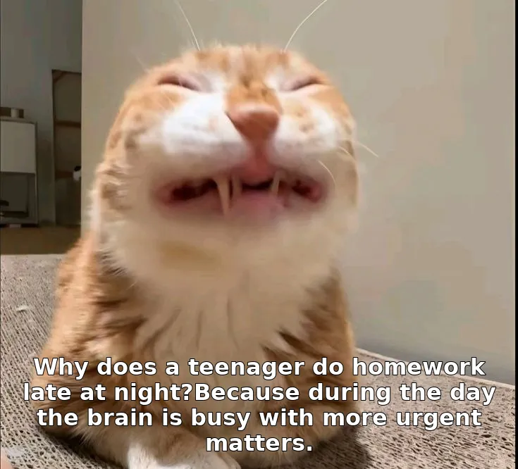 Why does a teenager do homework late at night?Because during the day the brain is busy with more urgent matters.