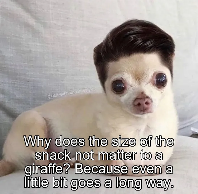 Why does the size of the snack not matter to a giraffe? Because even a little bit goes a long way.