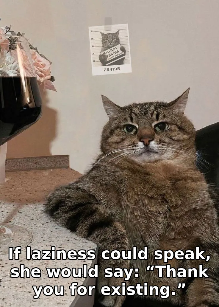 If laziness could speak, she would say: “Thank you for existing.”