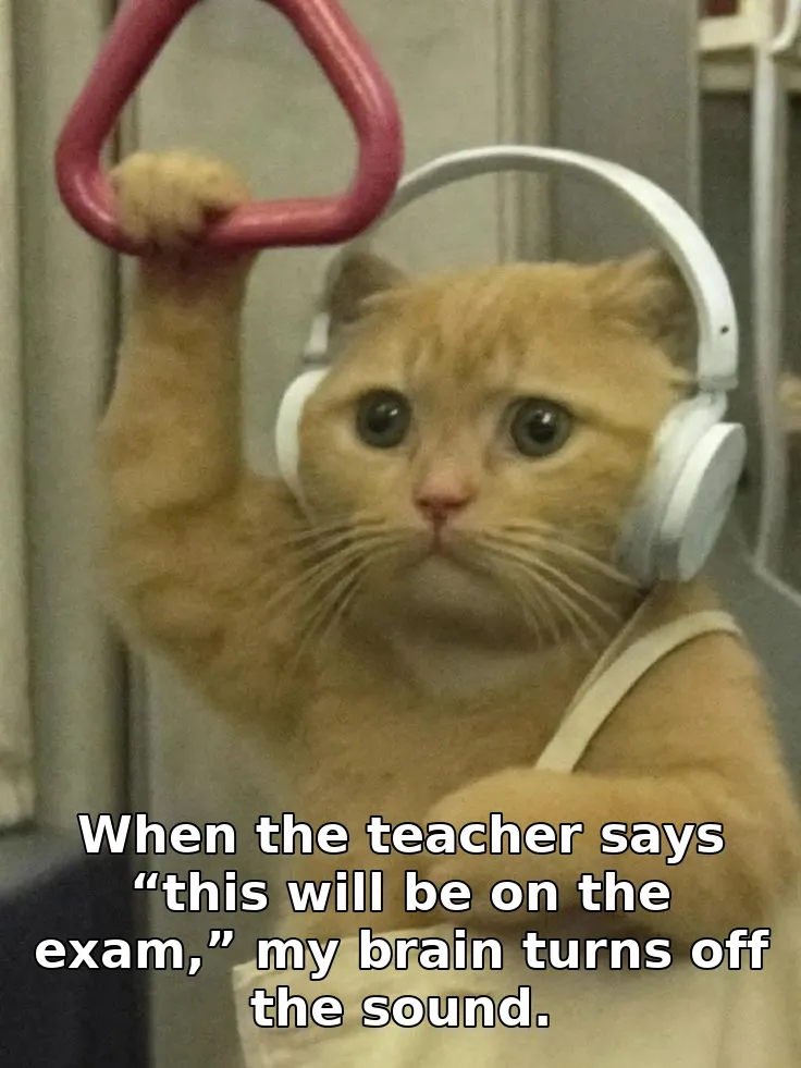 When the teacher says “this will be on the exam,” my brain turns off the sound.