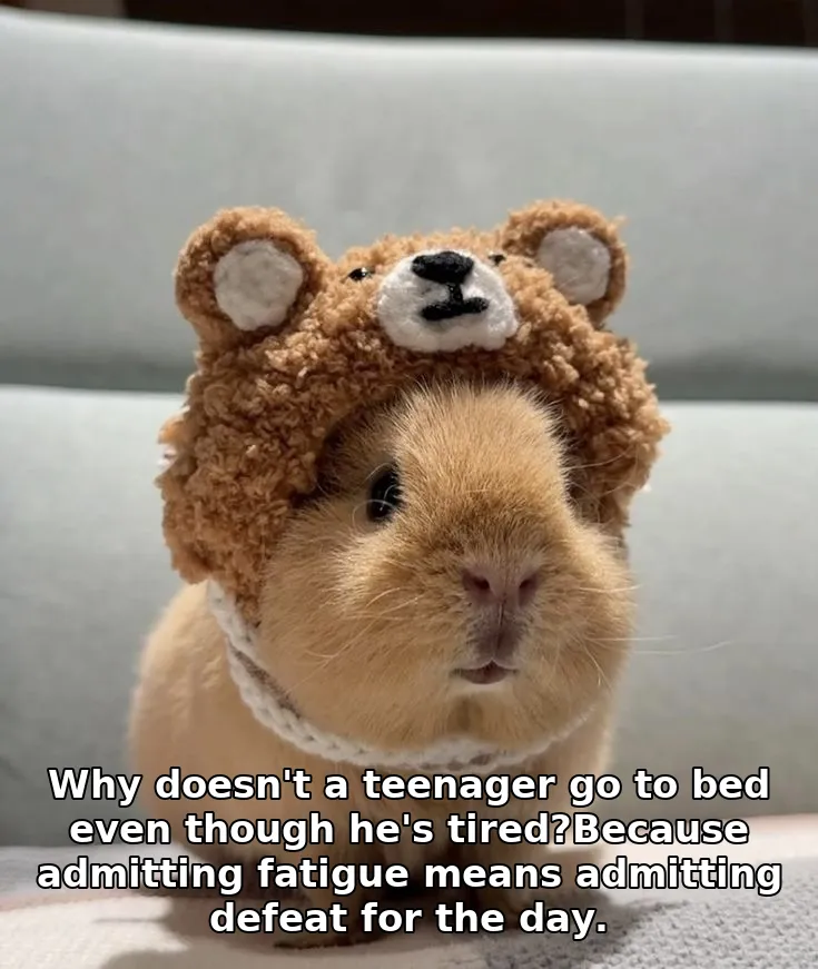 Why doesn't a teenager go to bed even though he's tired?Because admitting fatigue means admitting defeat for the day.