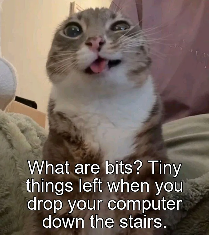 What are bits? Tiny things left when you drop your computer down the stairs.