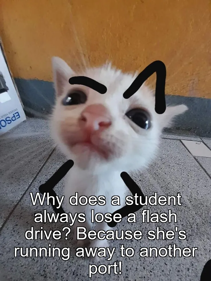 Why does a student always lose a flash drive? Because she's running away to another port!