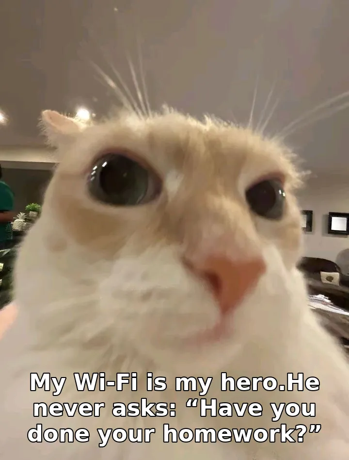 My Wi-Fi is my hero.He never asks: “Have you done your homework?”